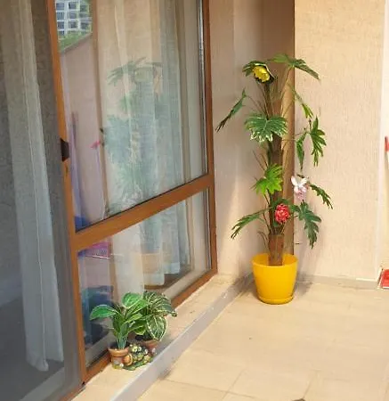 Sun Estate 公寓